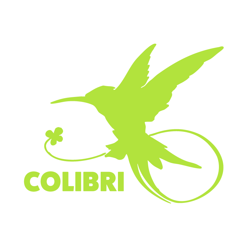 Logo CAMI