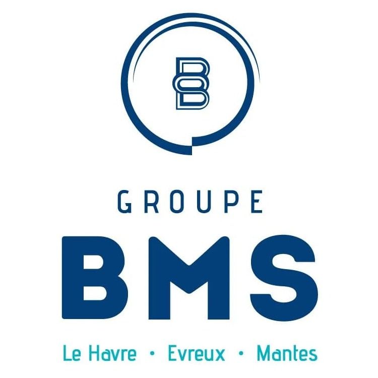 Logo BMS